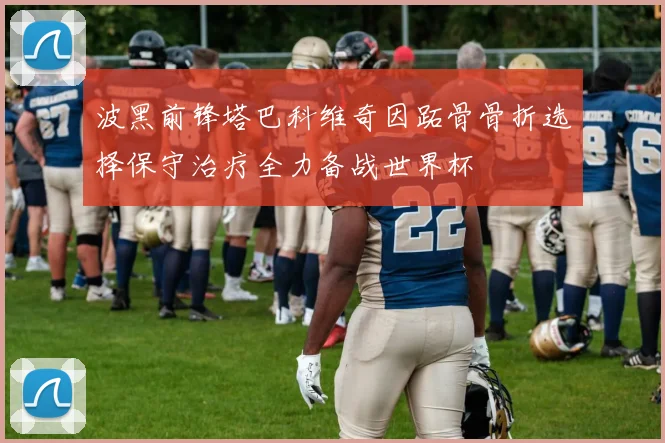 波黑前锋塔巴科维奇因跖骨骨折选择保守治疗全力备战世界杯